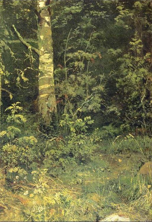 Ivan Shishkin Birch and Pocks oil painting image